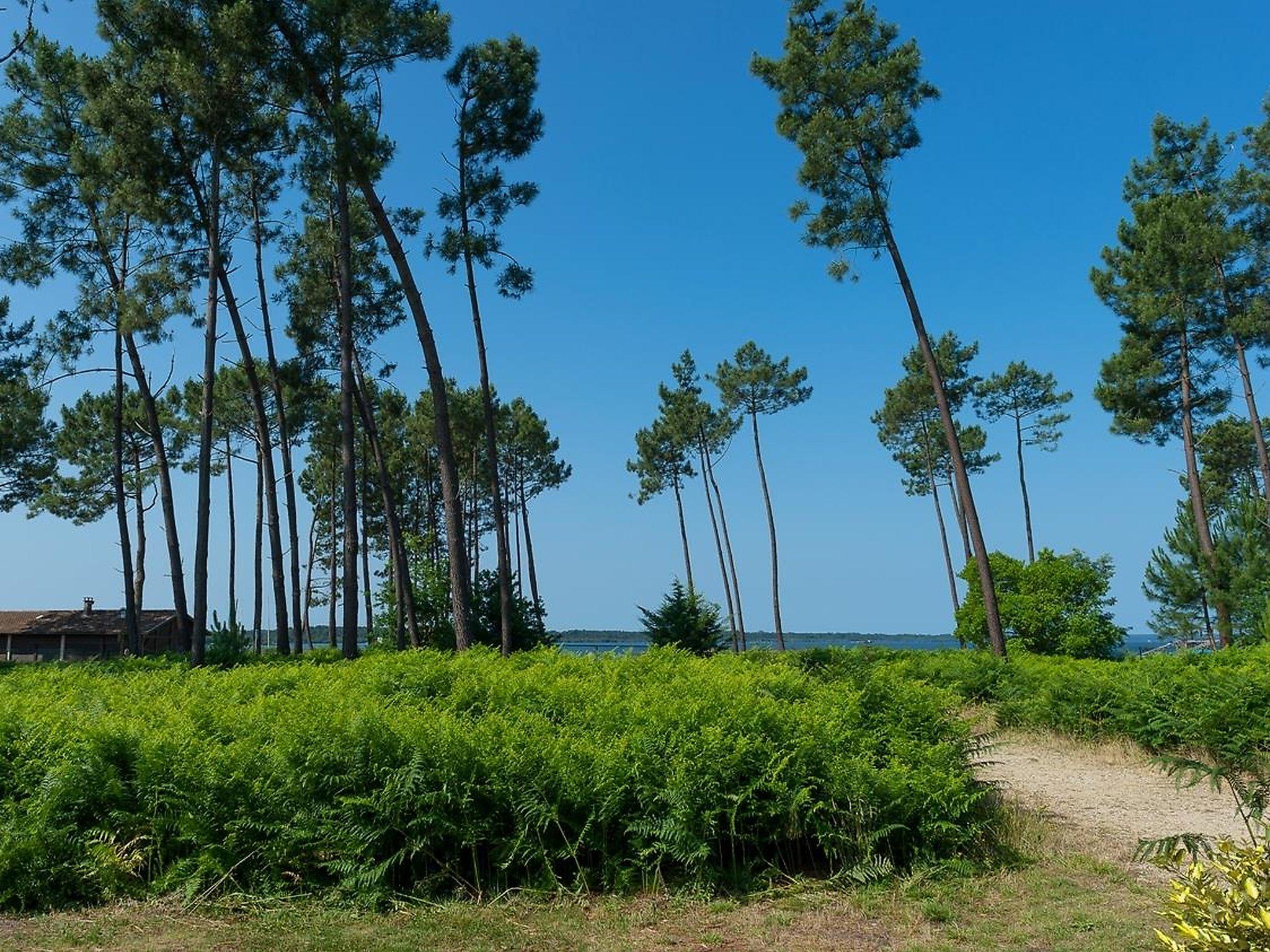Vacanceole - Le Domaine Des Grands Lacs Parentis-en-Born Exterior foto